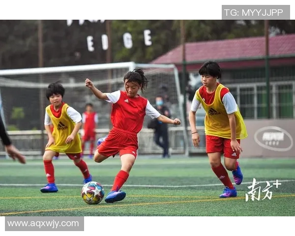 高山之巅足球明星宣传片展现激情与梦想的完美结合