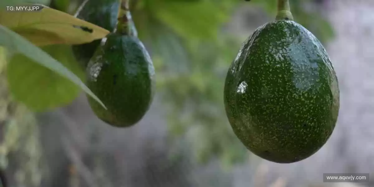 💥 亲临现场,感受心跳的每一秒!🎉